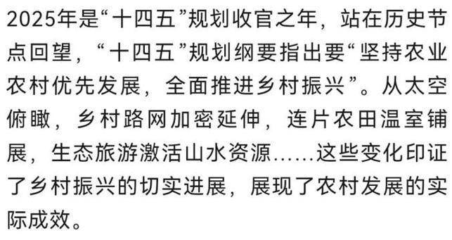 从太空看“十四五”｜乡村振兴万象新